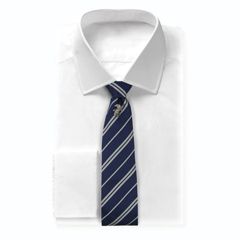 Cravatta con spilla Corvonero - Il Negozio delle Necessità