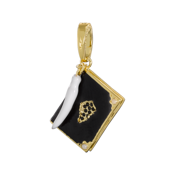 Lumos #11 Charm Diario di Tom Riddle