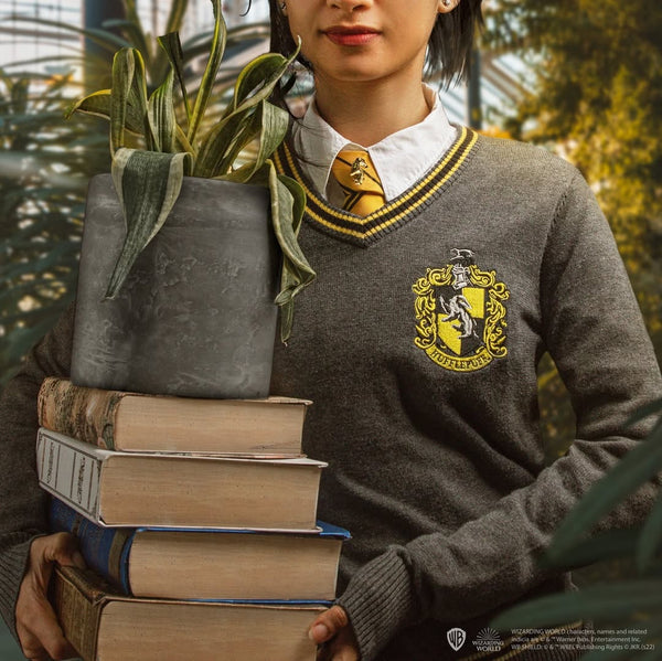 Maglione da studente Tassorosso