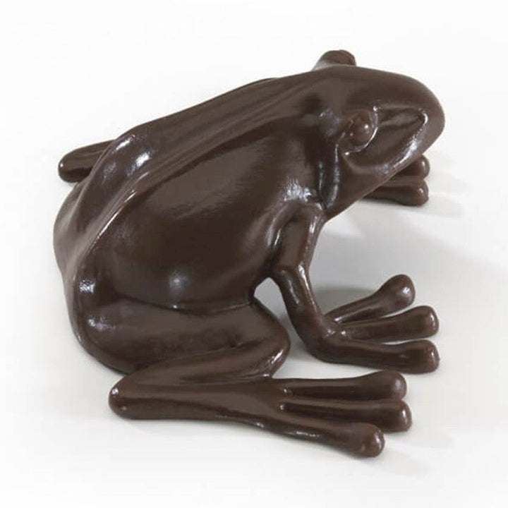 Cioccorana squishy - Il Negozio delle Necessità