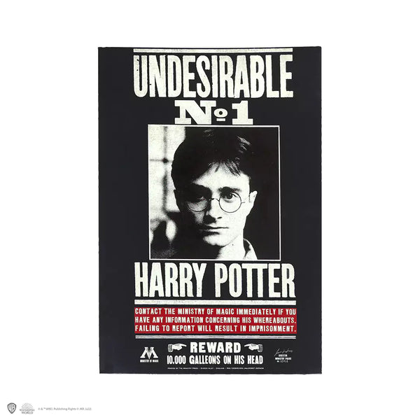 Notebook Indesiderato N° 1 Harry Potter