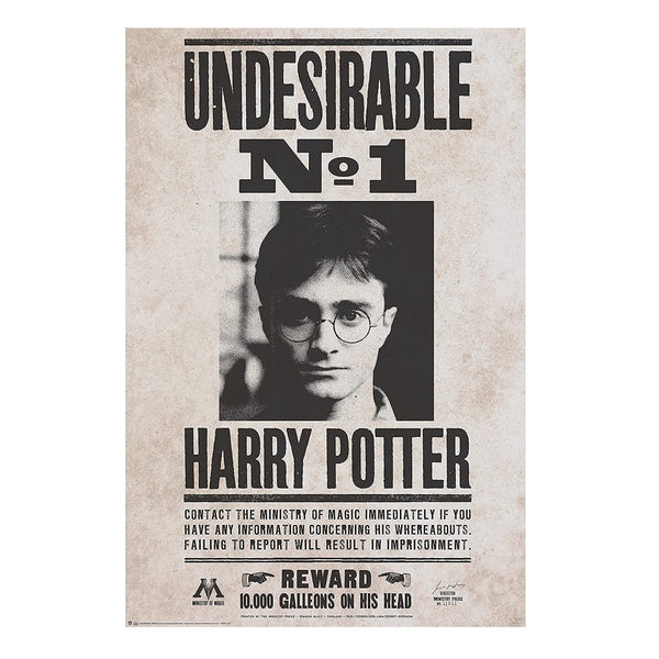 Poster Indesiderato N°1 Harry Potter